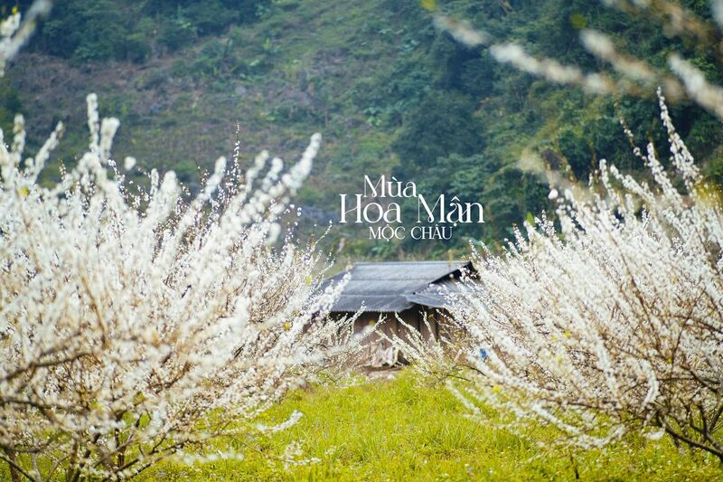 dịp tết n&ecirc;n đi du lịch ở đ&acirc;u