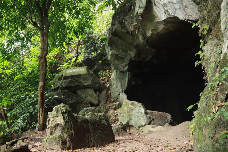 vườn quốc gia cúc phương có gì