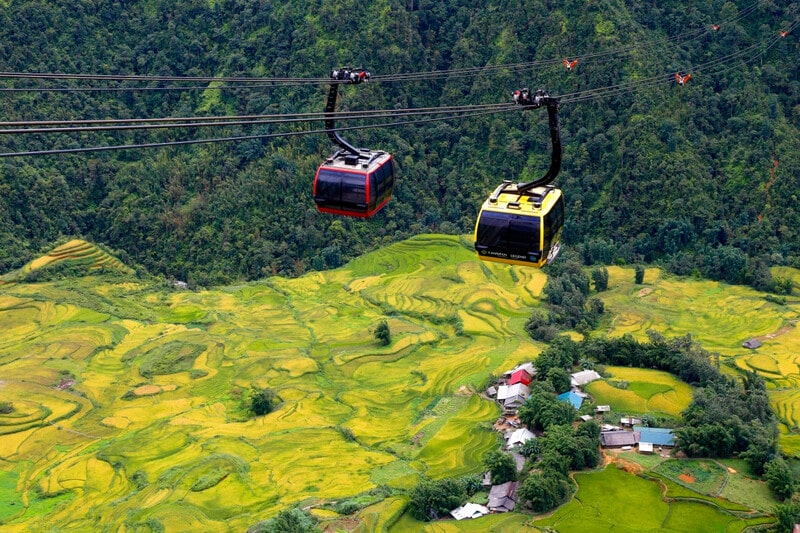 mùa lúa chín ở sapa