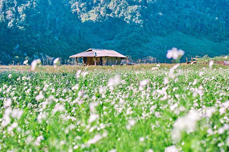 đi mộc ch&acirc;u bằng t&agrave;u hỏa