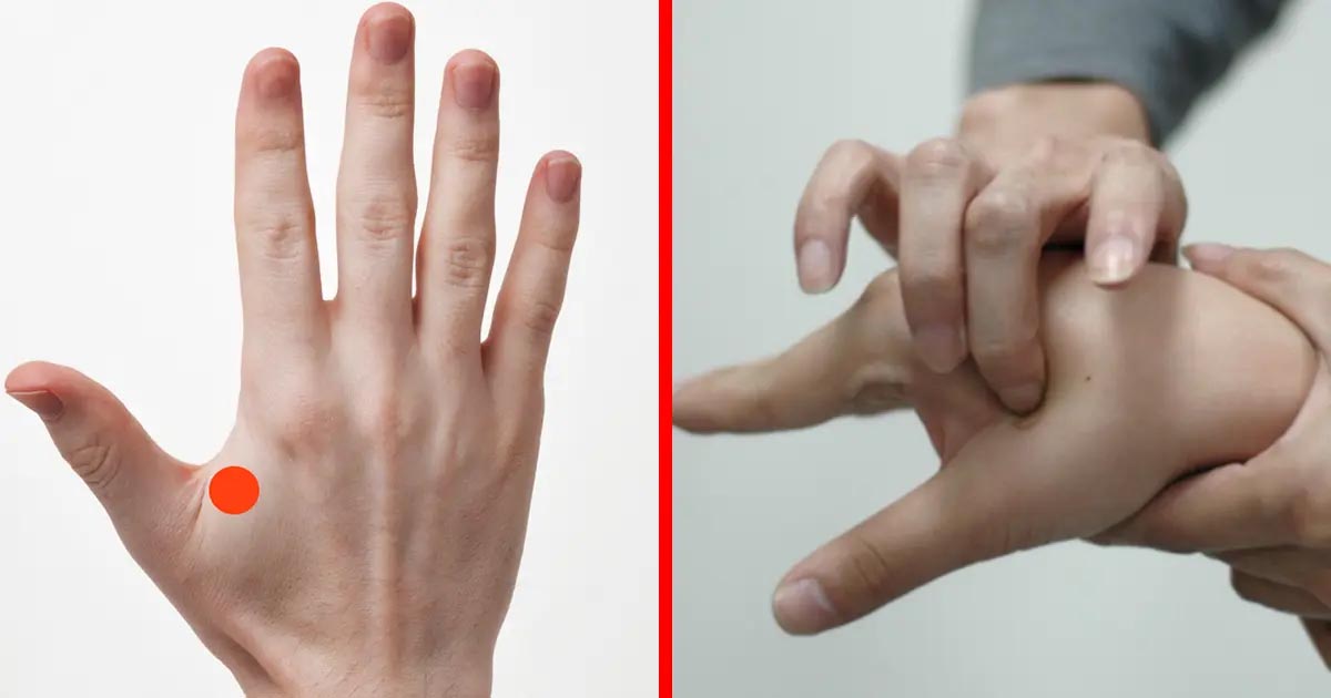 Kinh nghiệm đi xe giường nằm