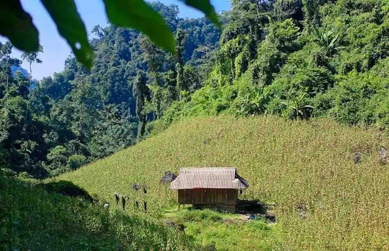 đi mộc ch&acirc;u bằng t&agrave;u hỏa