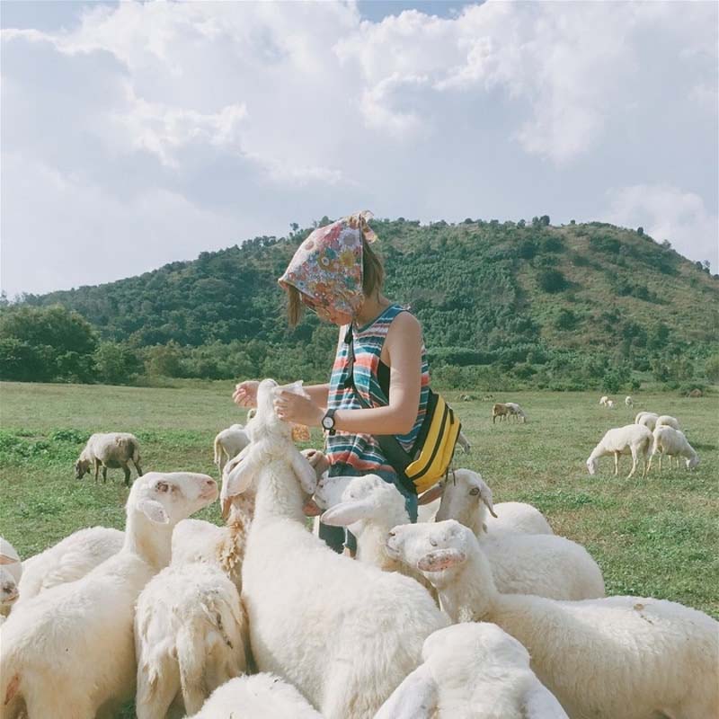 du lịch Bi&ecirc;n H&ograve;a bằng t&agrave;u hỏa