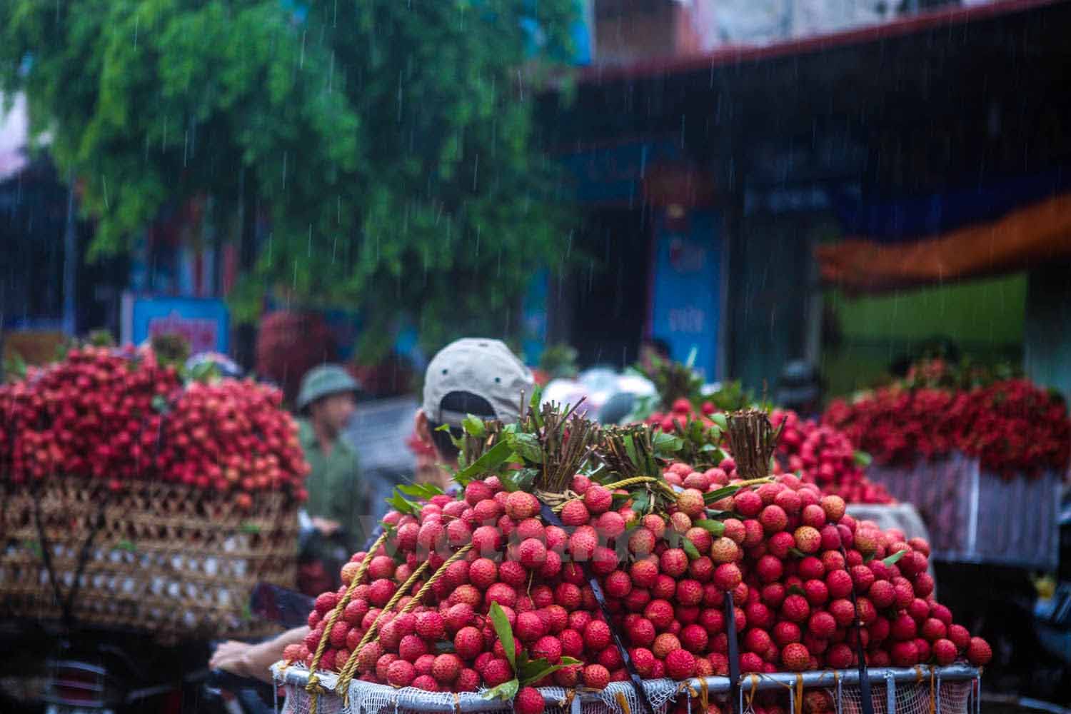 đặt v&eacute; t&agrave;u H&agrave; Nội Hải Dương