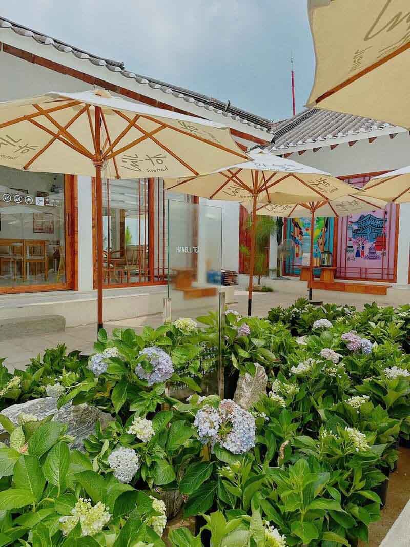 du lịch Bi&ecirc;n H&ograve;a bằng t&agrave;u hỏa