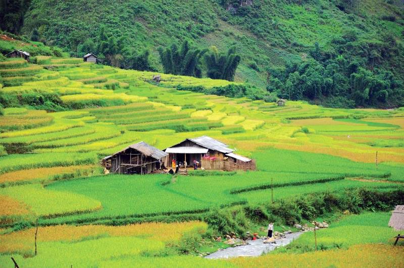 c&aacute;c bản ở Sapa