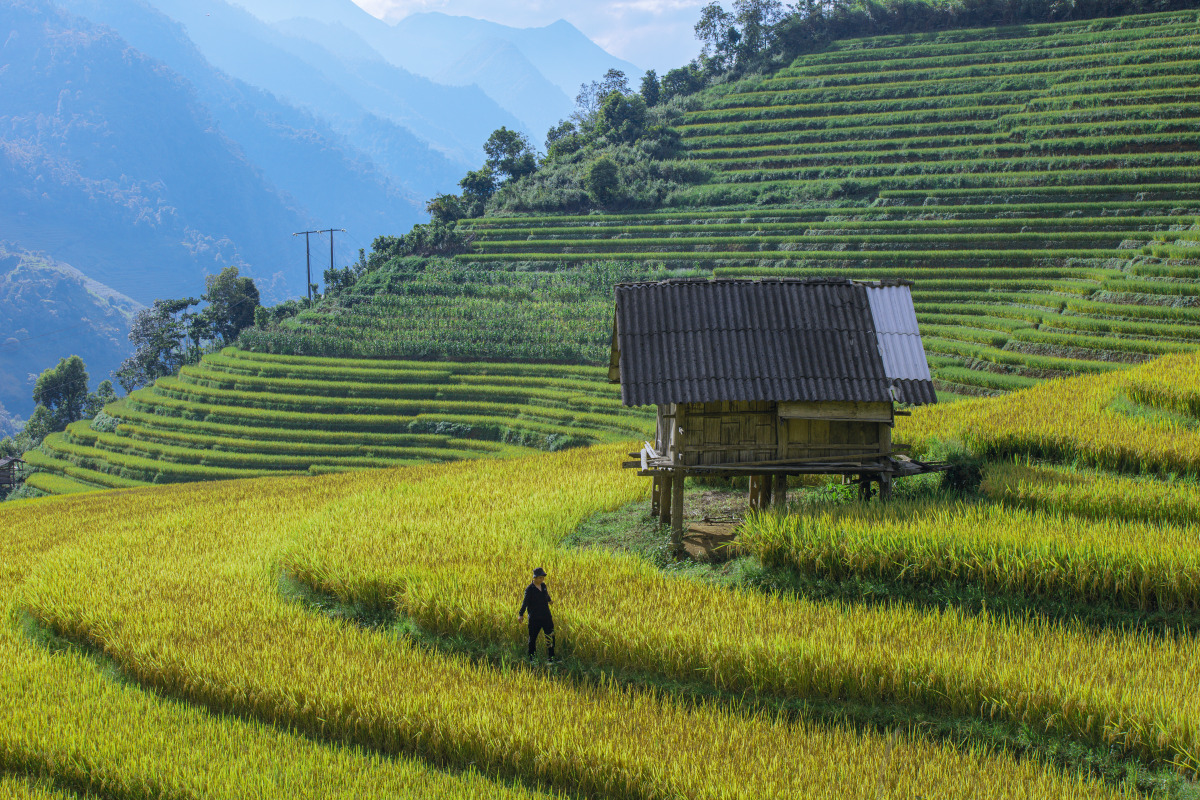 bản Lao Chải