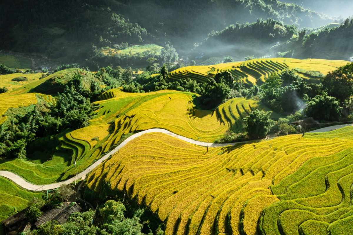 Ruộng bậc thang tại bản Lao Chải