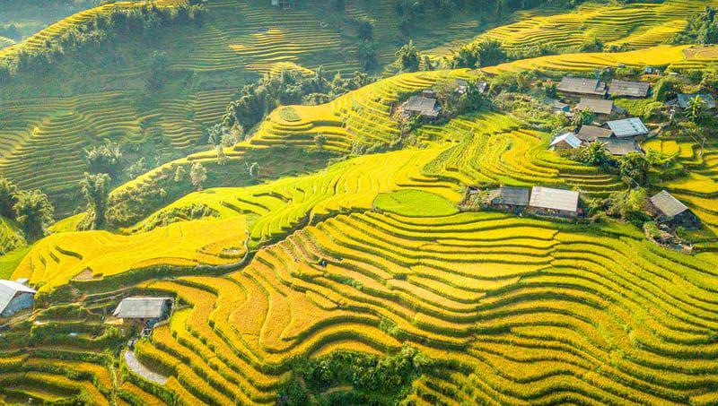 bản C&aacute;t C&aacute;t Sapa