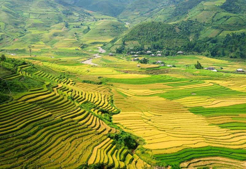 c&aacute;c bản ở Sapa