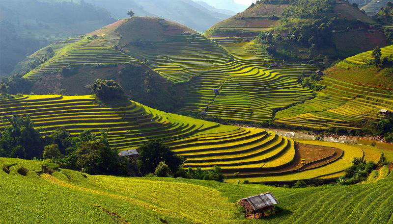 bản Lao Chải Tả Van
