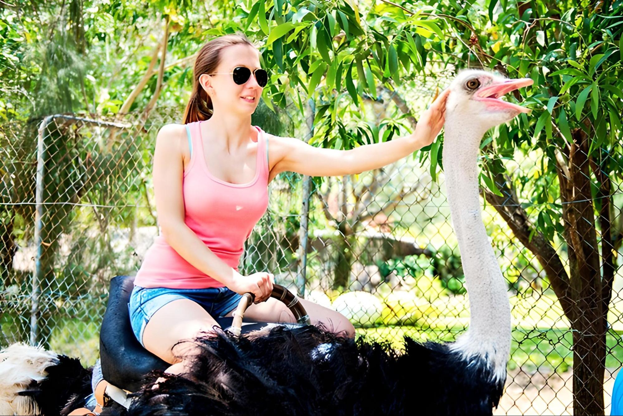 đi đảo khỉ Nha Trang tự t&uacute;c