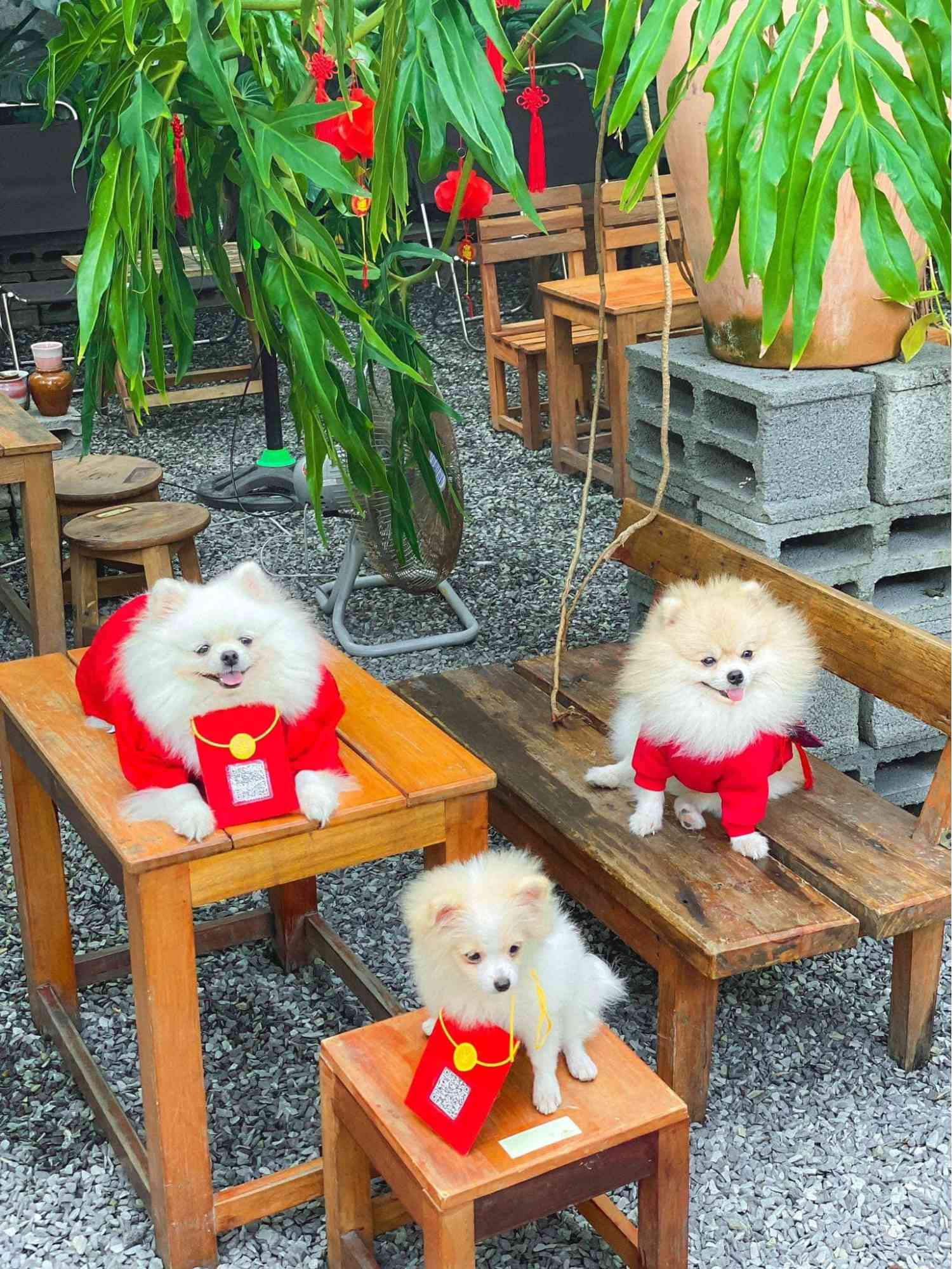 qu&aacute;n cafe đẹp tại Nha Trang