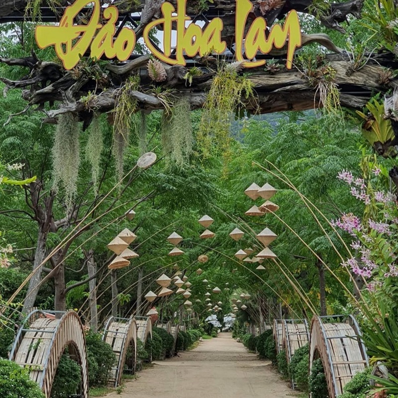Kinh nghiệm đi đảo Hoa Lan Nha Trang
