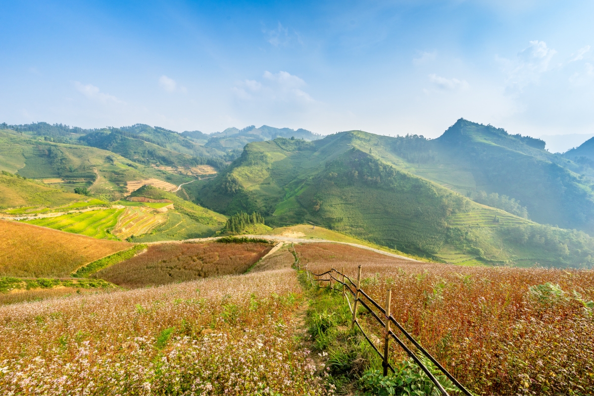 Sapa m&ugrave;a h&egrave; c&oacute; lạnh kh&ocirc;ng