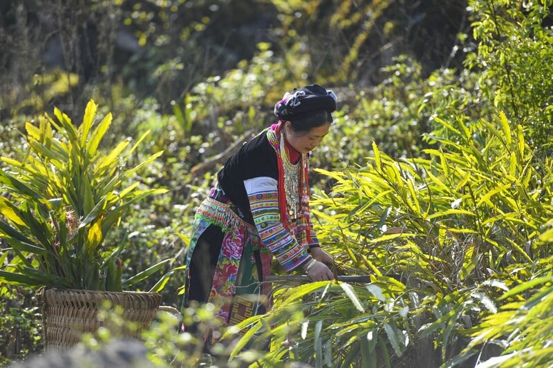 bản Tả Ph&igrave;n
