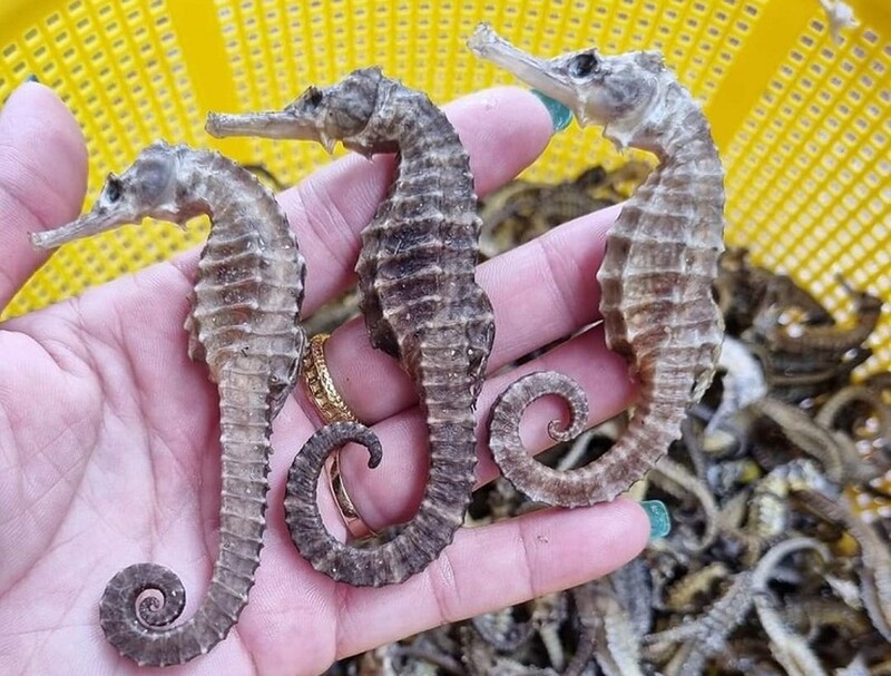 đặc sản Nha Trang