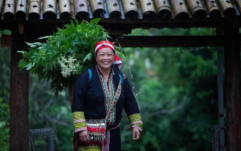 Du lịch Sapa