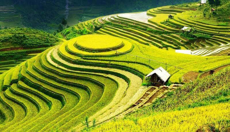 thung lũng Mường Hoa