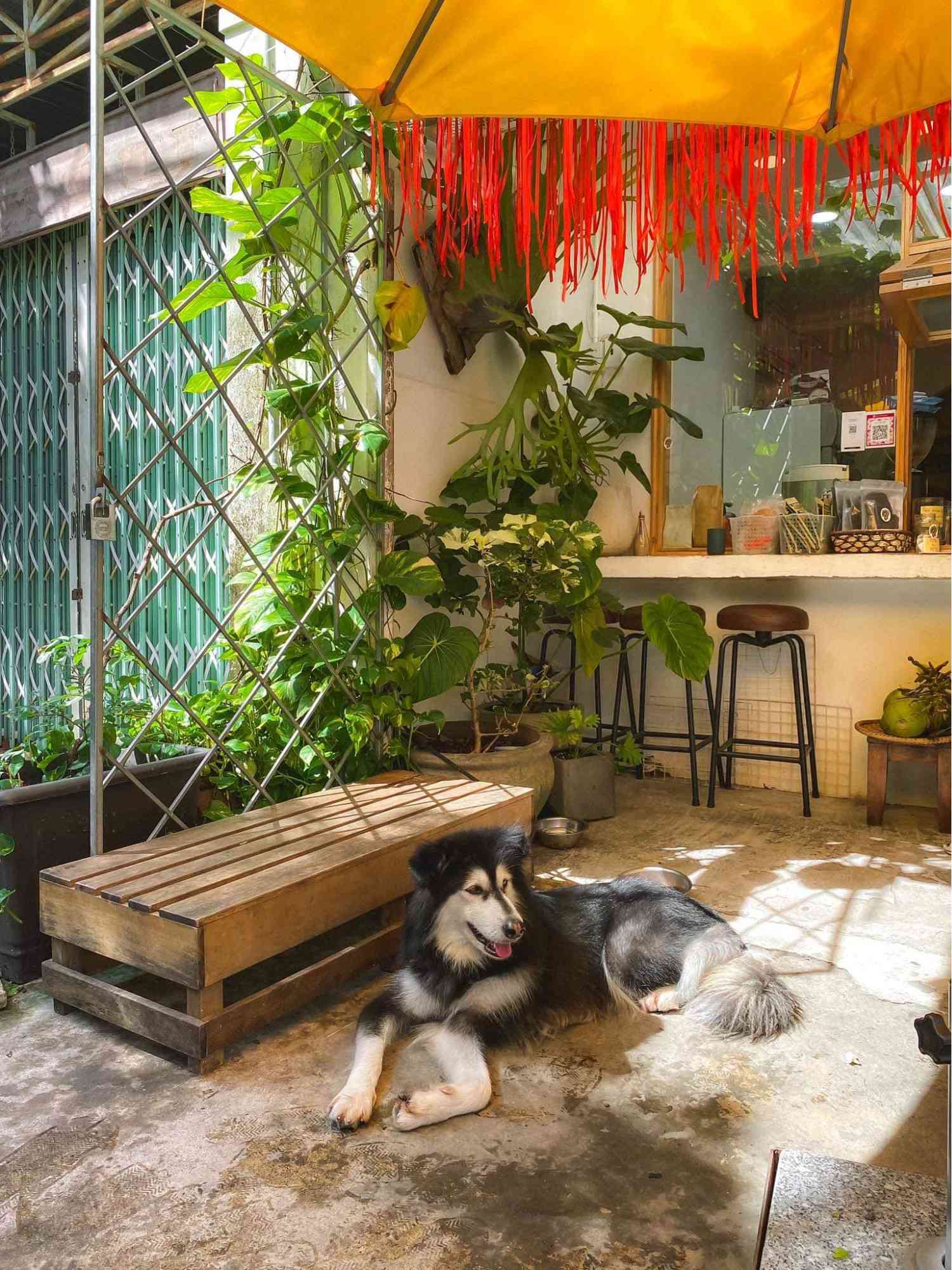 qu&aacute;n cafe đẹp ở Nha Trang