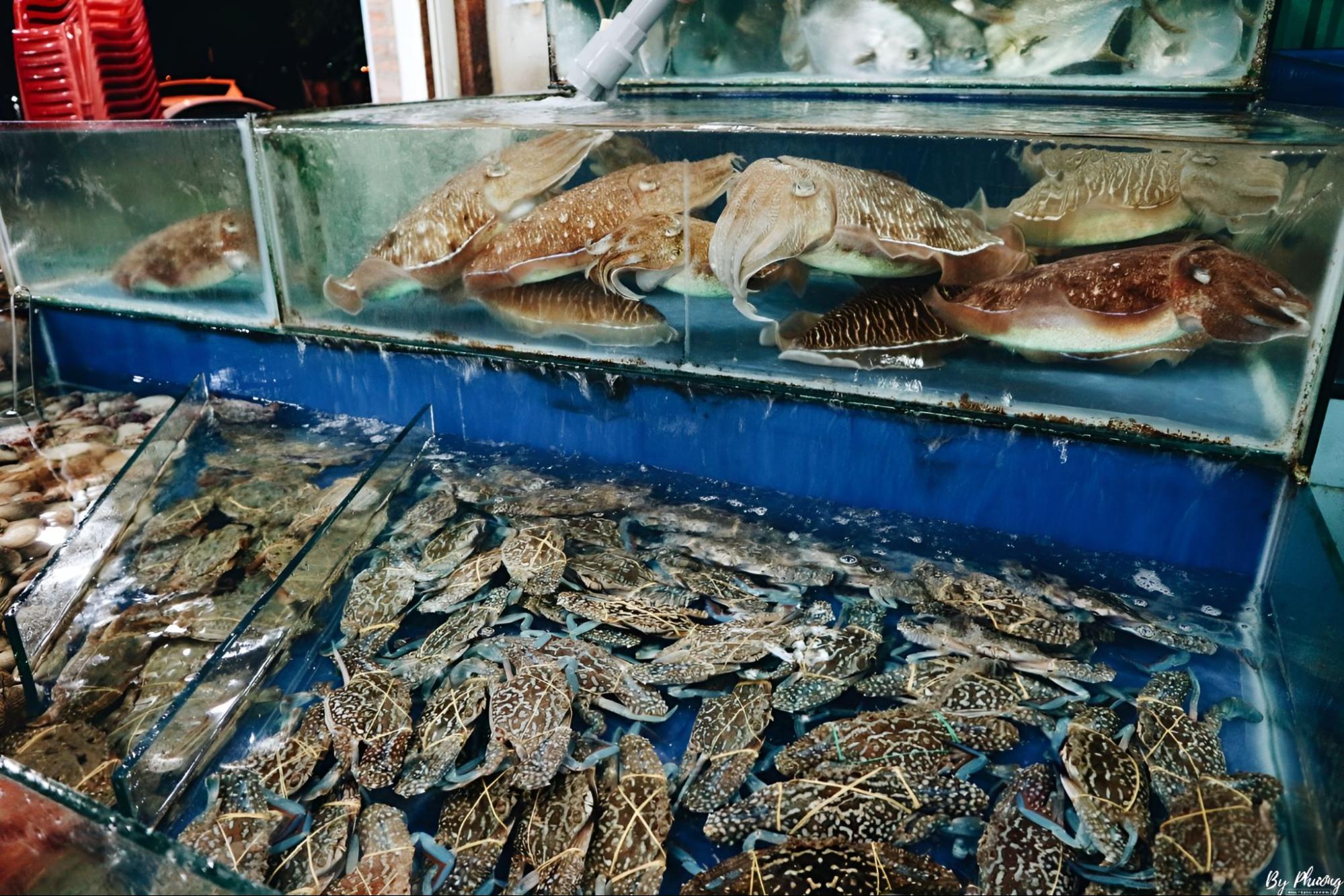 nh&agrave; h&agrave;ng hải sản ở Nha Trang