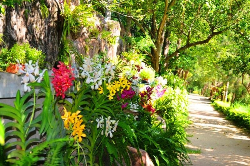 Kinh nghiệm đi đảo Hoa Lan Nha Trang