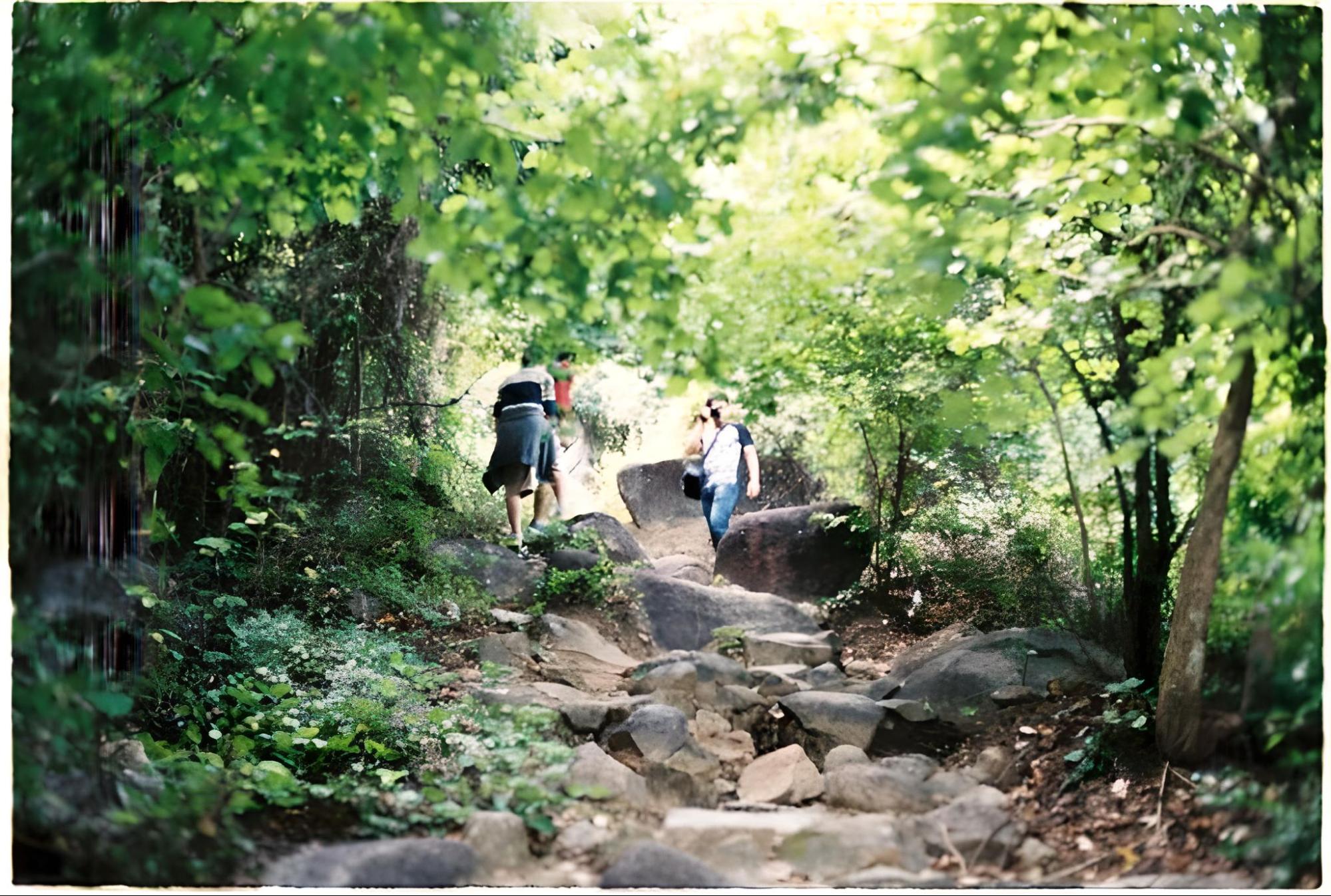 Trekking leo N&uacute;i T&agrave; C&uacute;