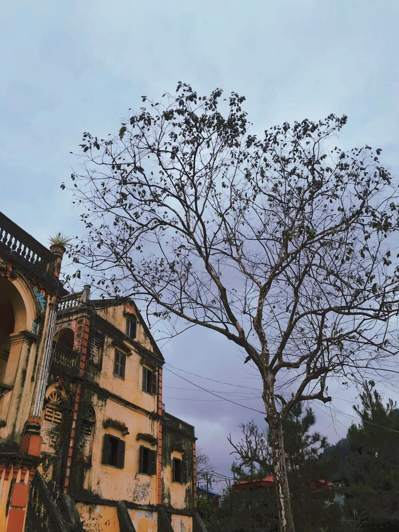 Dinh thự Ho&agrave;ng A Tưởng