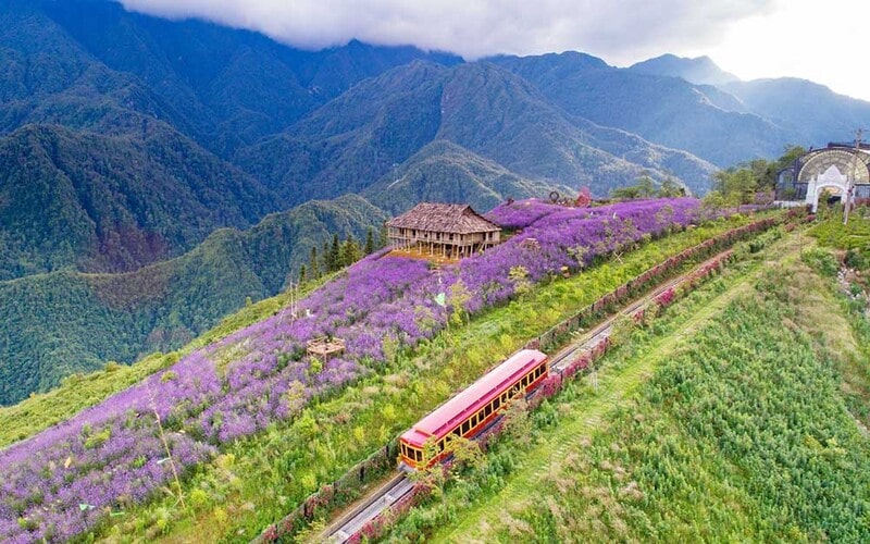 Đi Sapa m&ugrave;a n&agrave;o đẹp