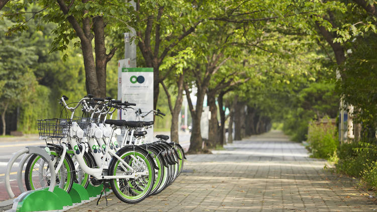 phương tiện đi lại ở H&agrave;n Quốc