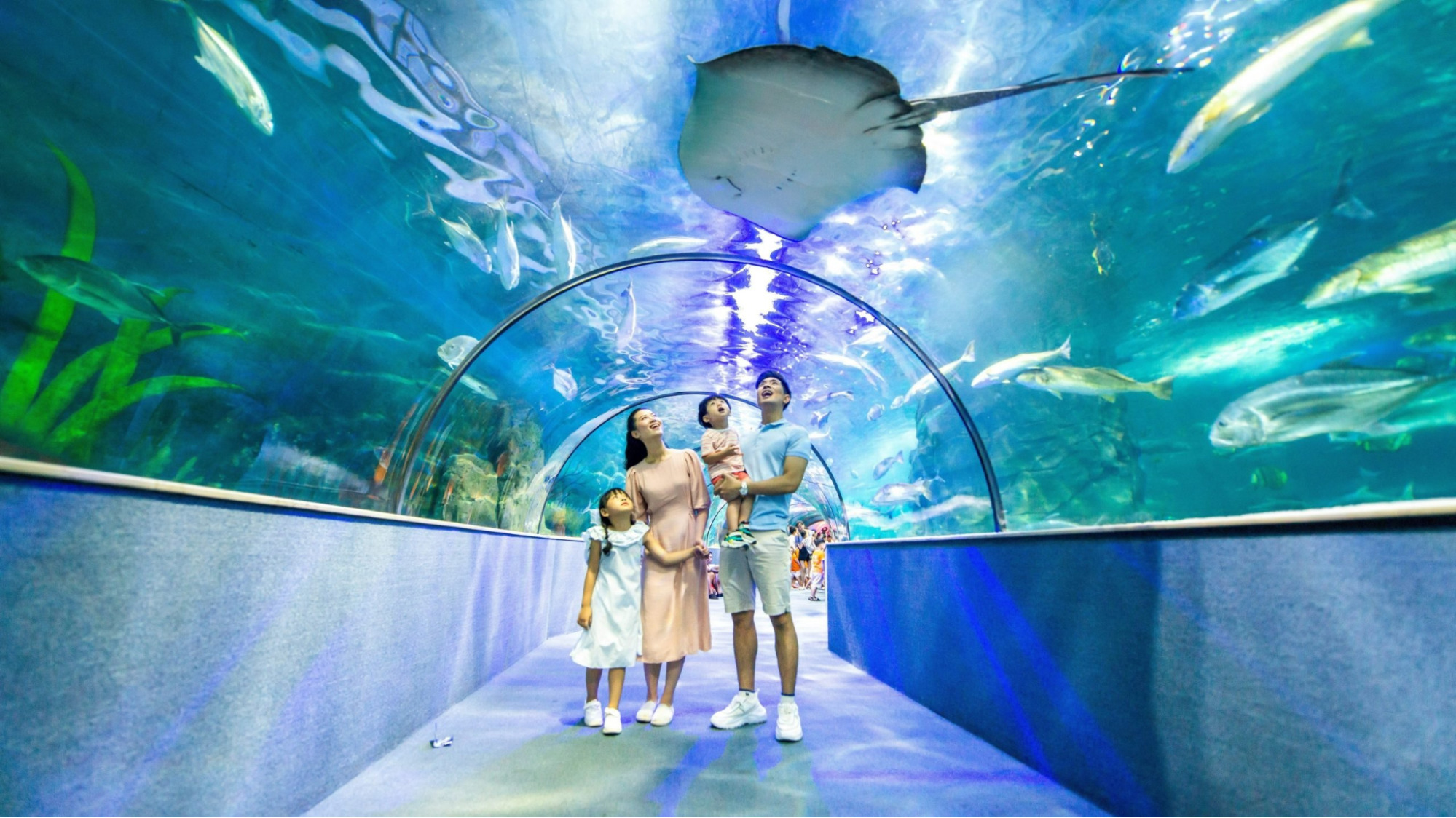 Thủy cung Times City c&oacute; g&igrave;