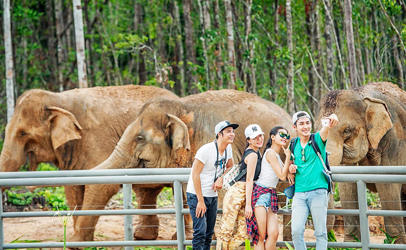 kinh nghiệm đi vinwonders v&agrave; safari ph&uacute; quốc