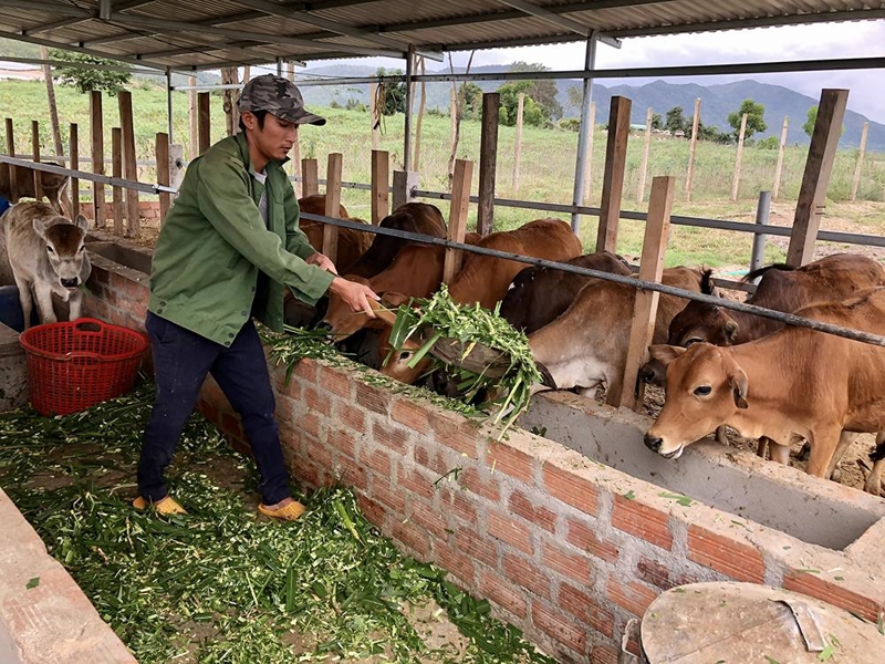 Kinh doanh ở nông thôn có nhiều lợi thế về chi phí và mặt bằng kinh doanh, giảm áp lực cạnh tranh so với thành thị (Nguồn: Internet)